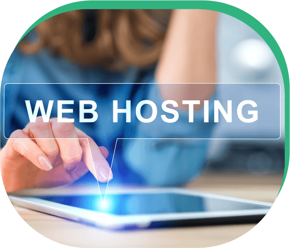 Domain & Hosting Profesional